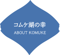 コムケ湖の幸