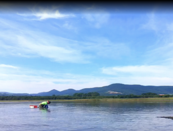 コムケ湖の幸シリーズ