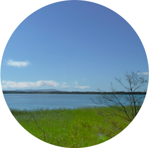 自然豊かなコムケ湖