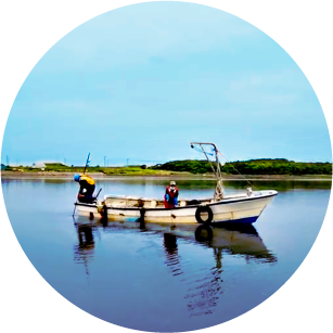 手をかけて育てる湖